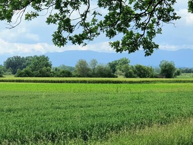 Terrassenwohnung zum Kauf 998.000 € 4 Zimmer 152 m² EG Weilheim Weilheim in Oberbayern 82362