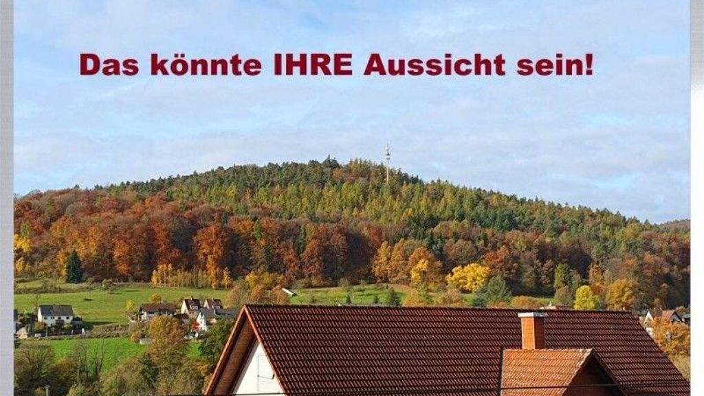 Einfamilienhaus zum Kauf 299.000 € 5 Zimmer 114 m² 722 m² Grundstück Niedersteinbach Mömbris 63776
