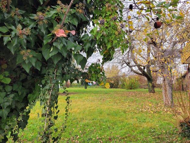 Grundstück zum Kauf 230.000 € 689 m² Grundstück Knittlingen 75438