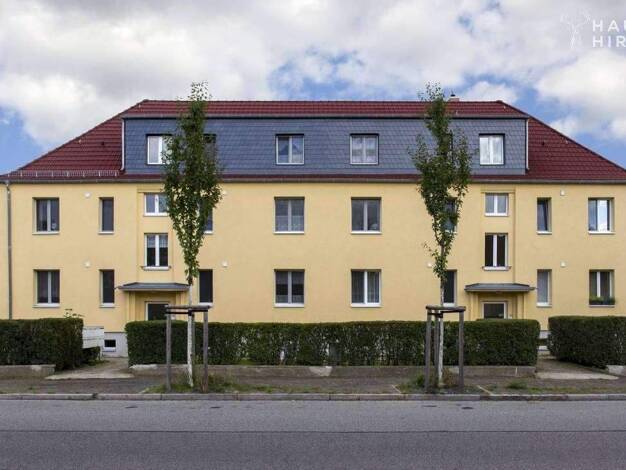 Mehrfamilienhaus zum Kauf als Kapitalanlage geeignet 1.400.000 € 22 Zimmer 540 m² 1.400 m² Grundstück Großzschachwitz Dresden 01259