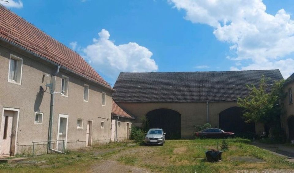 Bauernhaus zum Kauf provisionsfrei 95.000 € 7 Zimmer 150 m²<br/>Wohnfläche 2.419 m²<br/>Grundstück ab sofort<br/>Verfügbarkeit Peritz Wülknitz 01609