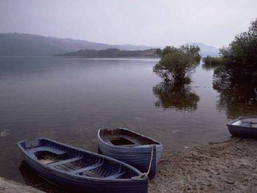 Bürofläche zur Miete 10,98 € 85 m² Bürofläche Gauting 82131