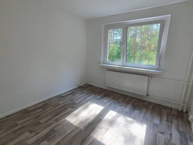 Wohnung zur Miete 528 € 3 Zimmer 76 m² EG Pilzheide 14 Walddrehna Walddrehna 15926
