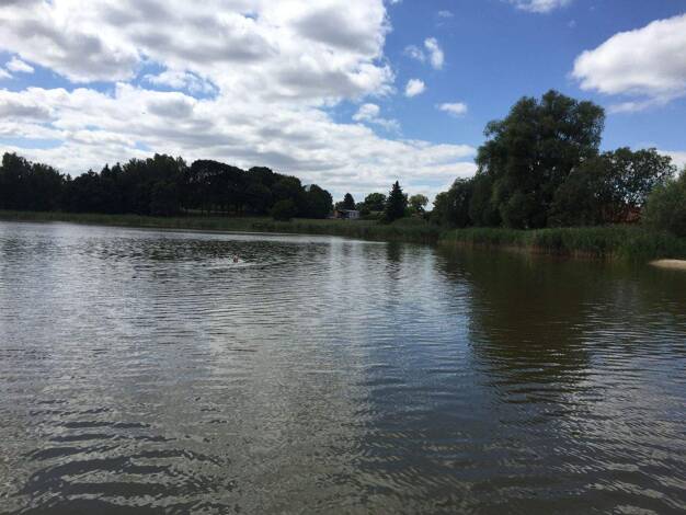 Bungalow zum Kauf provisionsfrei 220.000 € 5 Zimmer 110 m² 1.408 m² Grundstück Beetzer Triftweg Beetz Kremmen 16766