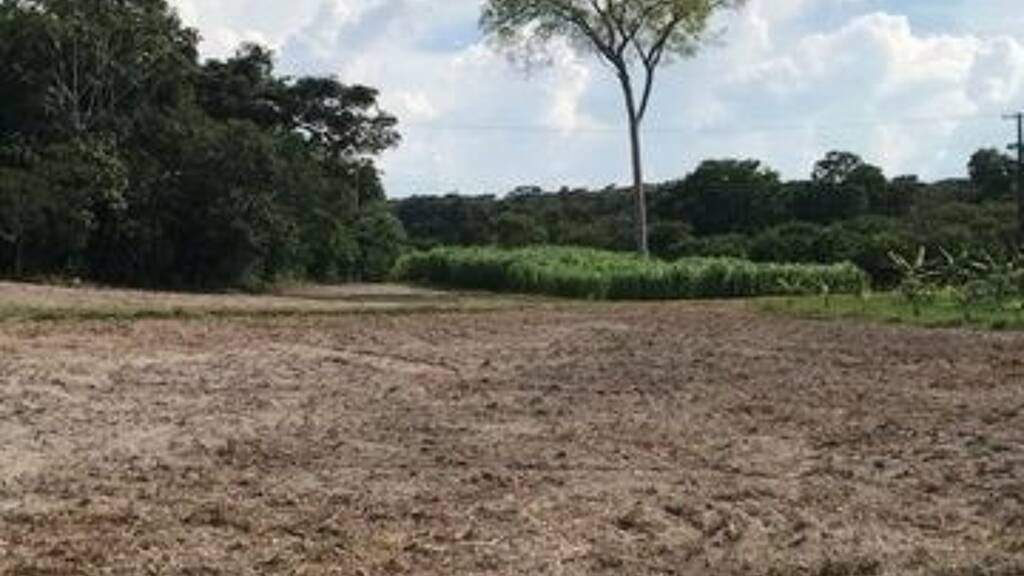 Grundstück zum Kauf 1.290.000 € 9.999.999 m² Grundstück Manaus 69054717