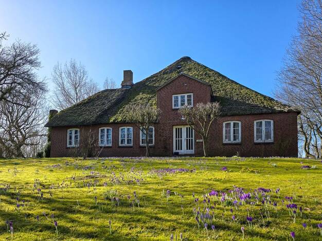 Einfamilienhaus zum Kauf 525.000 € 7 Zimmer 194 m² 7.579 m² Grundstück Westerhever 25881