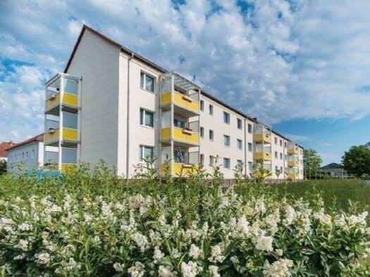 Wohnung zur Miete 290 € 2 Zimmer 48 m² 1. Geschoss Straße der Einheit 28 Oschatz Oschatz 04758