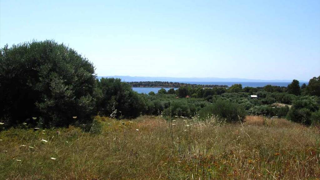 Land-/Forstwirtschaft zum Kauf 330.000 € 7.125 m² Grundstück Chalkidiki