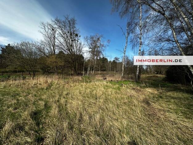 Freizeitgrundstück zum Kauf 99.000 € 5.800 m² Grundstück Thyrow Trebbin 14959