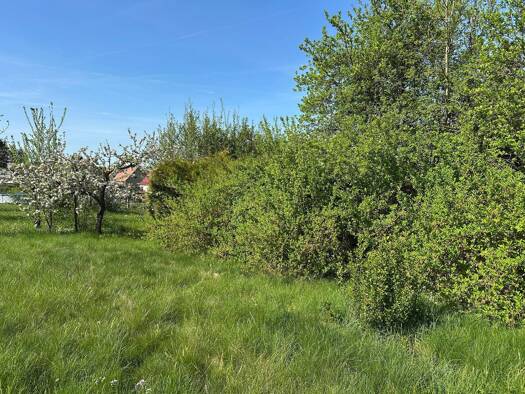 Bungalow zum Kauf 2 Zimmer 44 m² 1.311 m² Grundstück frei ab sofort Nauendorf Georgenthal 99887