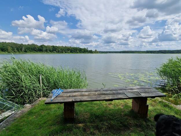 Bungalow zum Kauf 297.000 € 3 Zimmer 78 m² 987 m² Grundstück frei ab 01.09.2025 Kartlow Neuburg , NWM 23974