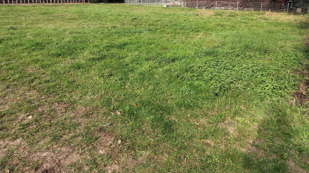 Grundstück zum Kauf 128.999 € 780 m² Grundstück Borg 18311