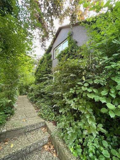 Einfamilienhaus zum Kauf 279.900 € 5 Zimmer 147 m² 1.099 m² Grundstück Wacken 25596