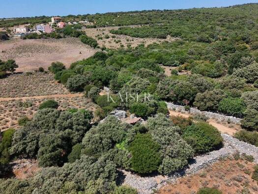 Haus zum Kauf 84.000 € 1 Zimmer 2.261 m² Belej, Mali Losinj Mali Lošinj
