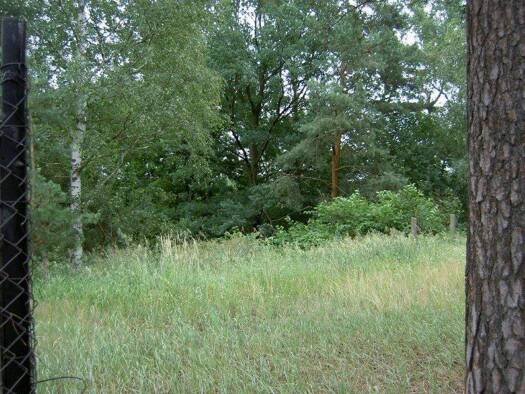 Grundstück zum Kauf provisionsfrei 150.000 € 1.500 m² Grundstück Senftenberg 01968