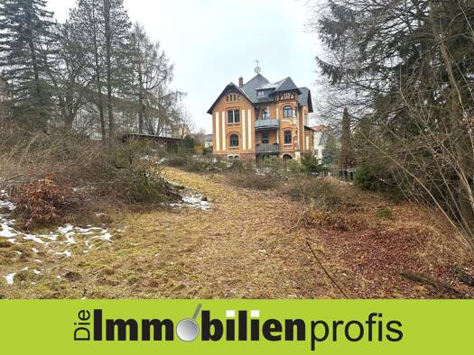 Grundstück zum Kauf 45.000 € 1.610 m² Grundstück Adorf Adorf 08626