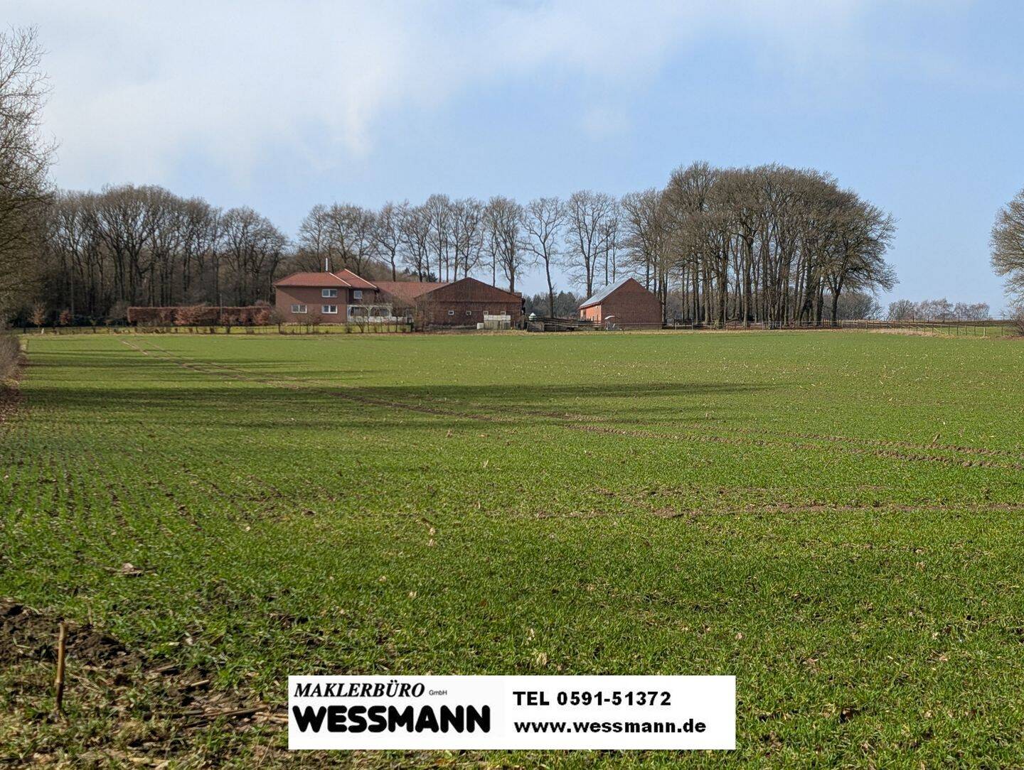 Bauernhaus zum Kauf - Ansicht 6
