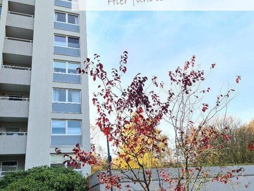 Wohnung zur Miete 1.390 € 2 Zimmer 70 m² 3. Geschoss frei ab 01.05.2026 Druseltalstraße 139 Brasselsberg Kassel / Wilhelmshöhe 34131