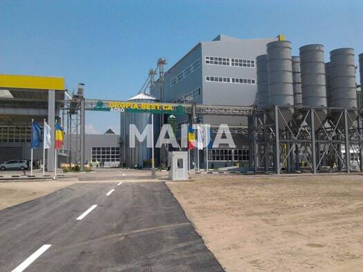 Bürofläche zum Kauf 20.000.000 € Zimnicea 145400