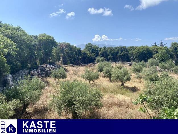 Grundstück zum Kauf 310.000 € 10.000 m² Grundstück Municipality of Apokoronas
