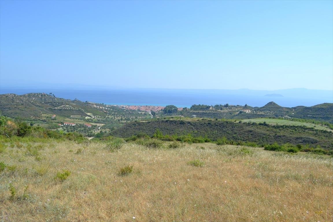 Land-/Forstwirtschaft zum Kauf 80.000 € 7.378 m²<br/>Grundstück Chalkidiki