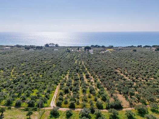 Grundstück zum Kauf 750.000 € 7.133 m² Grundstück ??????????? 24400