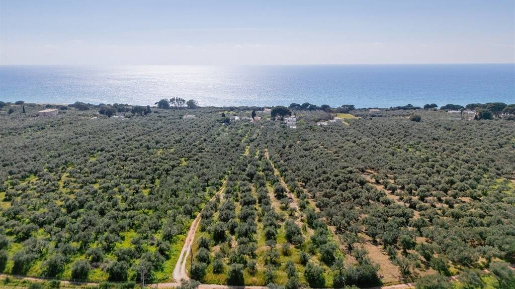 Grundstück zum Kauf 750.000 € 7.133 m² Grundstück ??????????? 24400