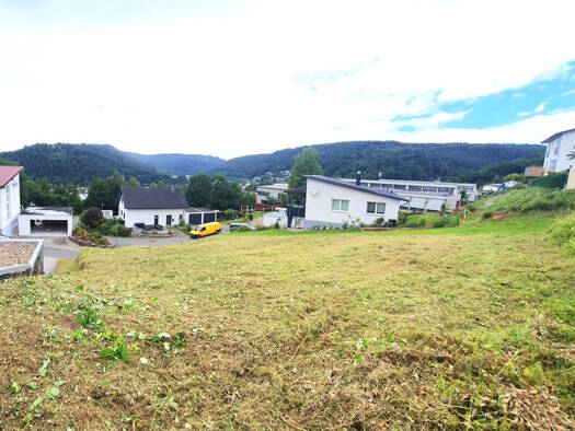 Grundstück zum Kauf 65.000 € 511 m² Grundstück Neckargerach 69437