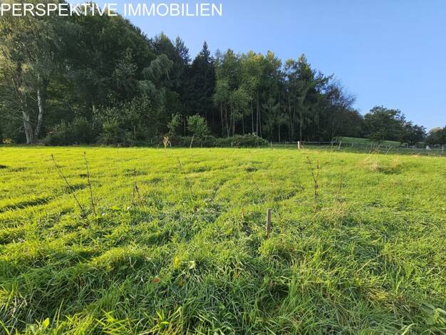 Grundstück zum Kauf 95.000 € 1.048 m² Grundstück Erbuch Erbach 64711