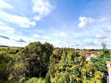 Mehrfamilienhaus zum Kauf 180.000 € 9 Zimmer 183 m² 410 m² Grundstück Benneckenstein Benneckenstein (Harz) 38877