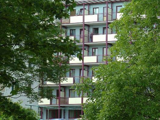 Wohnung zur Miete 196 € 1 Zimmer 28 m² 2. Geschoss Thomas-Müntzer-Straße 26 Neustadt Neustadt an der Orla 07806