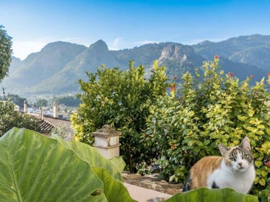 Villa zum Kauf 1.050.000 € 3 Zimmer 170 m² 162 m² Grundstück Alaró 07340