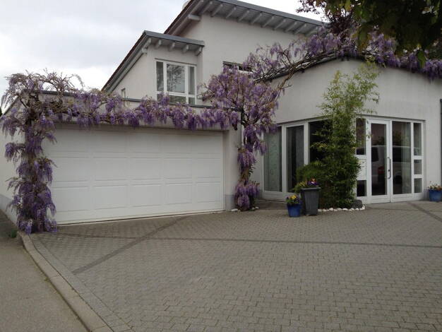 Einfamilienhaus zum Kauf provisionsfrei 996.000 € 5 Zimmer 240,2 m² 899 m² Grundstück Gutach Gutach 79261