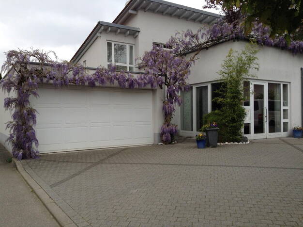 Einfamilienhaus zum Kauf provisionsfrei 996.000 € 5 Zimmer 240,2 m² 899 m² Grundstück Gutach Gutach 79261