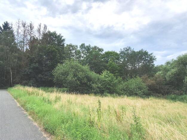 Grundstück zum Kauf 800.000 € 10.000 m² Grundstück Osterode 37520