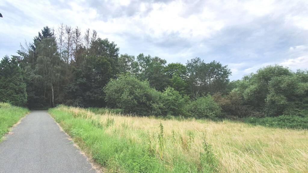 Grundstück zum Kauf 800.000 € 10.000 m² Grundstück Osterode 37520