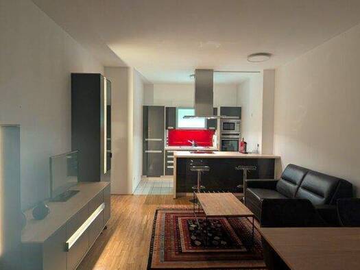 Wohnung zur Miete 1.390 € 48,2 m² Wien 1070