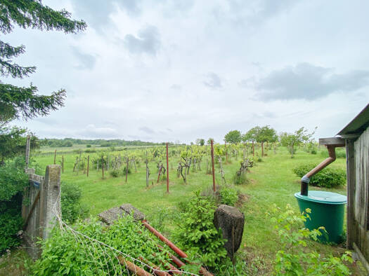 Einfamilienhaus zum Kauf 498.000 € 2 Zimmer 64,2 m² 2.992 m² Grundstück Wien 1210