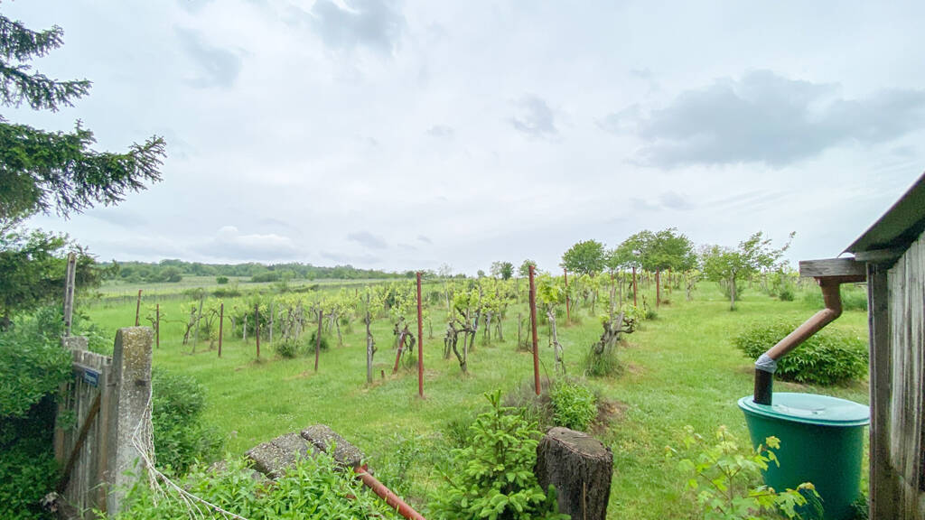 Einfamilienhaus zum Kauf 498.000 € 2 Zimmer 64,2 m² 2.992 m² Grundstück Wien 1210