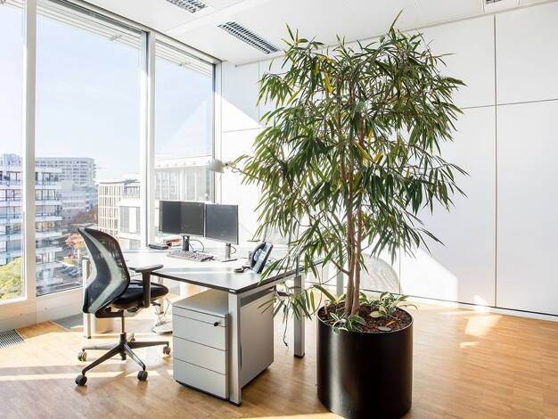 Bürofläche zur Miete provisionsfrei 1.300 € 45 m² Bürofläche Elsenheimerstraße Laim München 80687