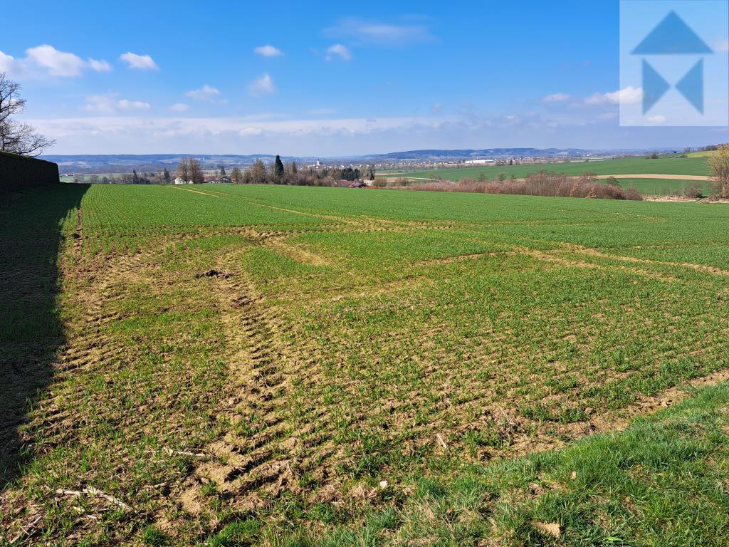 Land-/Forstwirtschaft zum Kauf 27.132 m²<br/>Grundstück Osterhofen Osterhofen 94486