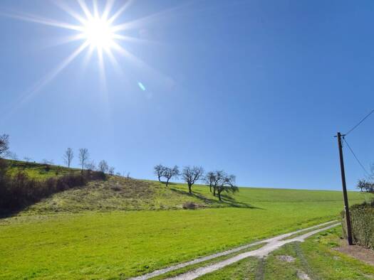 Haus zum Kauf 25.000 € 1 Zimmer 35 m² 690 m² Grundstück Flemmingen Wethau 06618