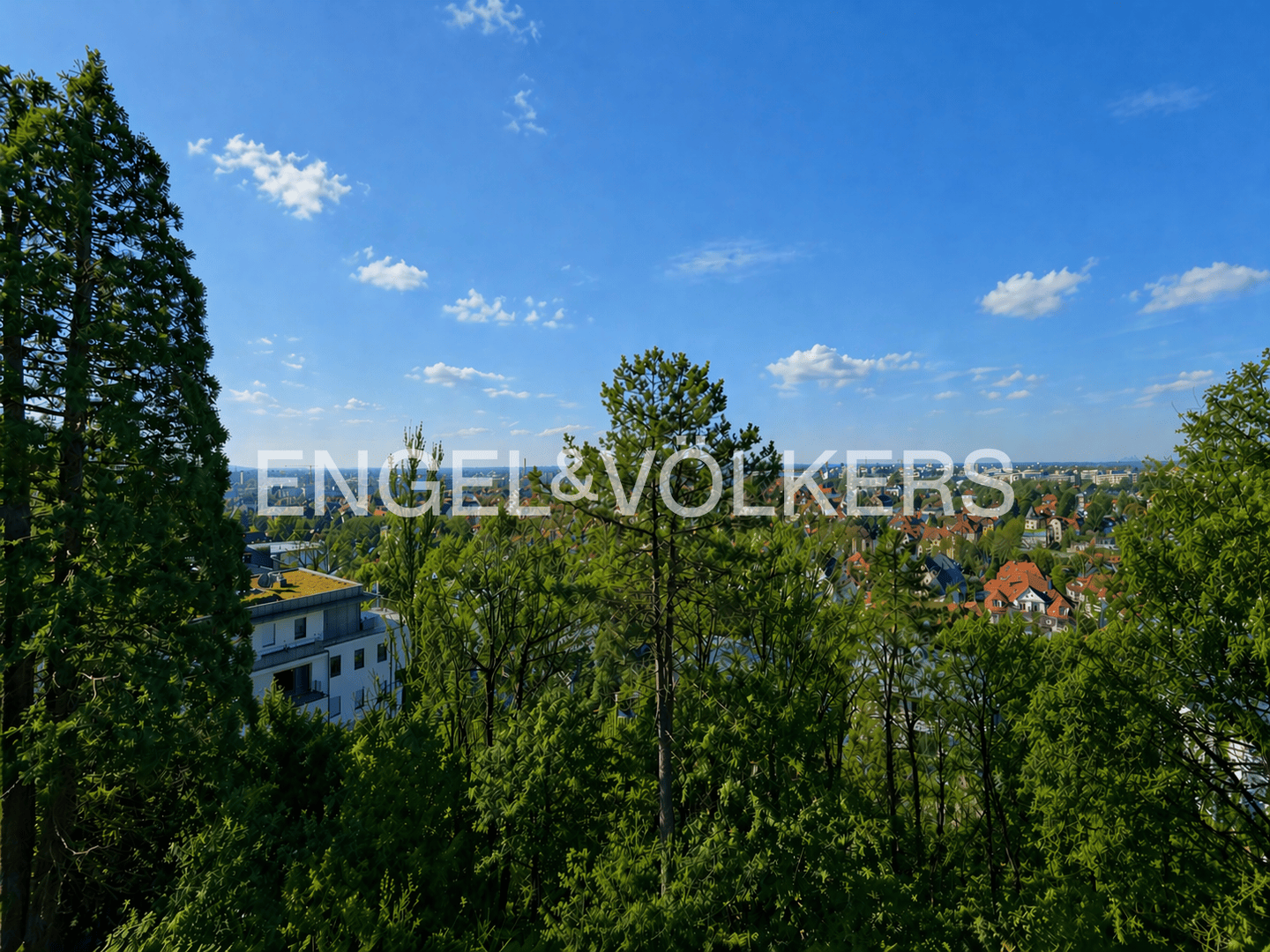 Einfamilienhaus zum Kauf - Ansicht 3