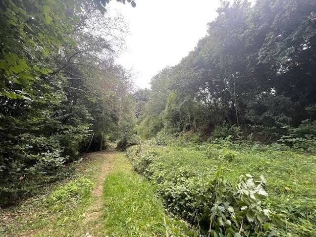 Grundstück zum Kauf 600.000 € 3.756 m² Grundstück Donaueschingen Donaueschingen 78166