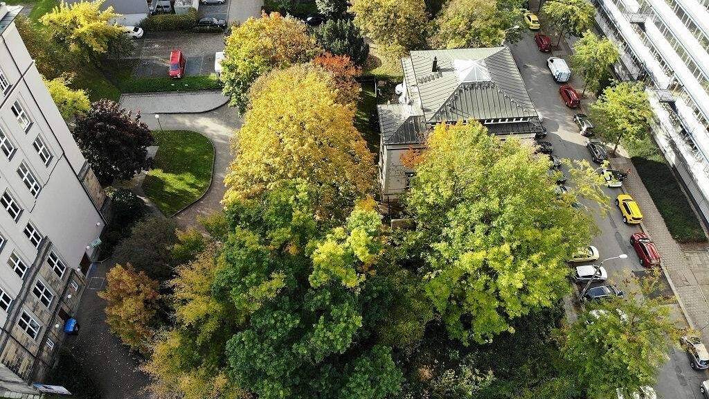 Wohnung zum Kauf - Erstbezug provisionsfrei 462.000 € 2 Zimmer 85 m² 2. Geschoss Südvorstadt-Ost Dresden / Südvorstadt-West 01069