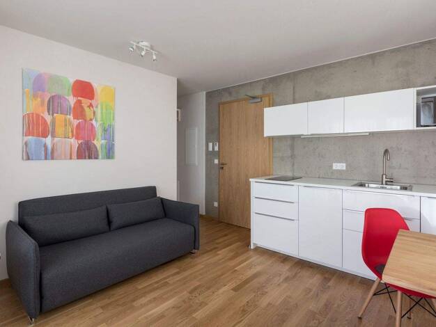 Wohnung zur Miete Wohnen auf Zeit 1.790 € 2 Zimmer 35 m² frei ab sofort Glockenhof Nürnberg 90478