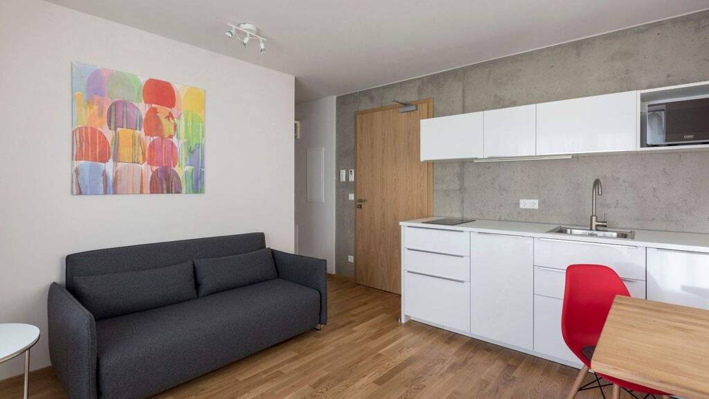 Wohnung zur Miete Wohnen auf Zeit 1.790 € 2 Zimmer 35 m² frei ab sofort Glockenhof Nürnberg 90478