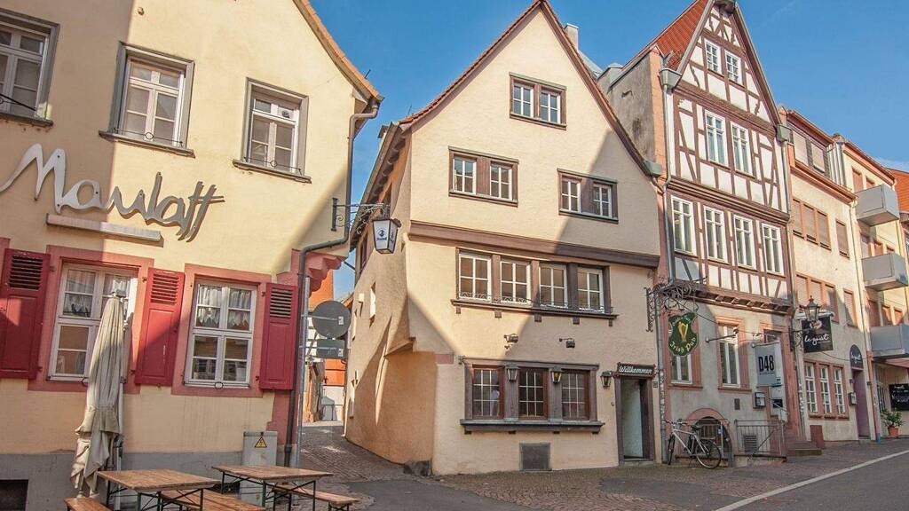 Immobilie zum Kauf 499.000 € 1 Zimmer 193 m² 110 m² Grundstück frei ab sofort Innenstadt Aschaffenburg 63739