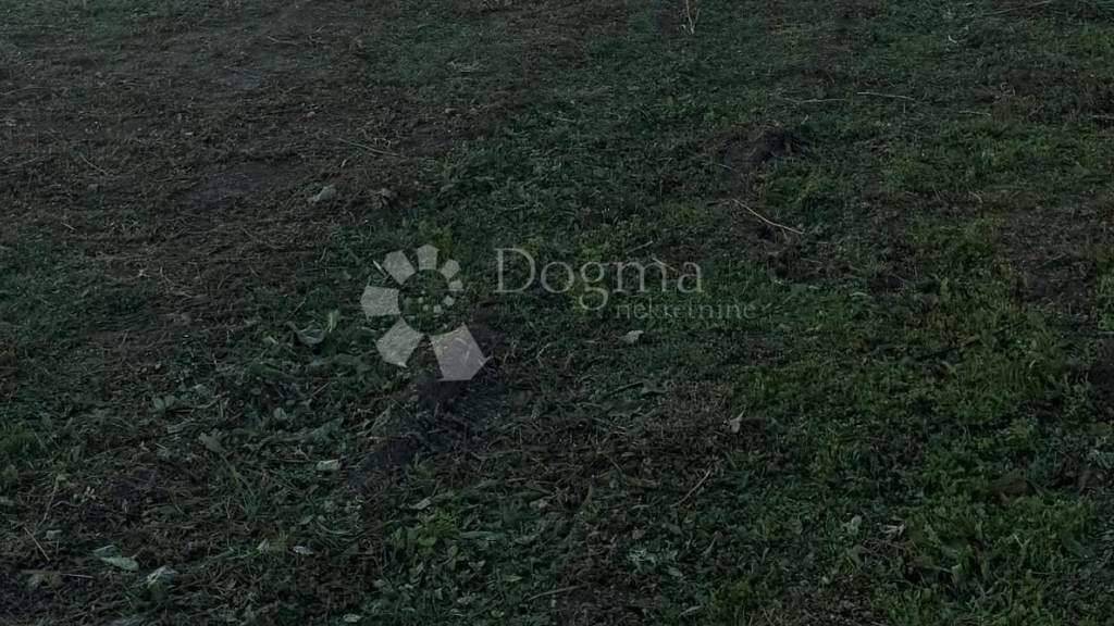 Land-/Forstwirtschaft zum Kauf 87.000 € Mala Subotica