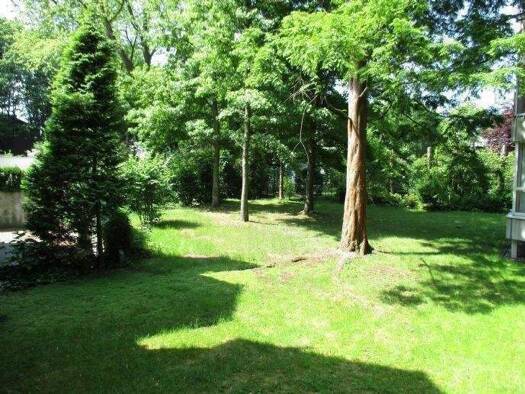 Wohnung zur Miete 440 € 2,5 Zimmer 55 m² 1. Geschoss Buer Gelsenkirchen 45894